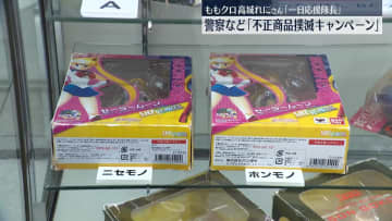 「不正商品撲滅キャンペーン」ももクロ高城れにさんが「一日応援隊長」