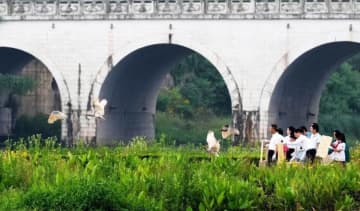 四川省でトキ12羽を放鳥、野外モニタリング実施へ―中国