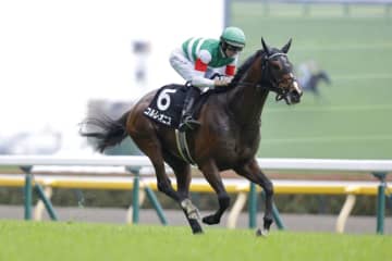 【調布特別】ハープスターの半弟が断然の人気に応えて快勝