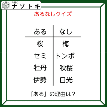 あるなしクイズです！「桜にあって梅にない！」答えは美味しいアレ！【難易度LV２.・甘口】