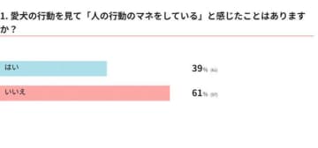 【調査】「人の行動をマネする犬」はどれくらい？｜獣医師解説
