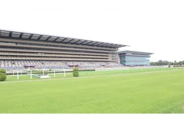 競馬場に金髪の大物女優が“初降臨”　「美しすぎる」「還暦に見えない」とネット熱視線