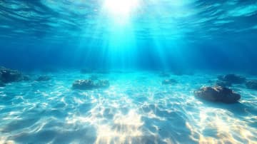 海洋環境の保全と経済発展の両立について考える BLUE ECONOMY WEEK　大阪・関西万博で6月2日から開催