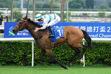 【香港競馬】ヴォイッジバブルが香港史上2頭目の三冠達成！チャンピオンズ＆チャターカップで圧巻の走りを披露