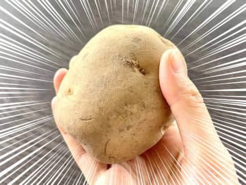 新鮮で美味しいじゃがいもを見抜く！！《プロの選び方》超実践テク