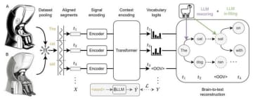「脳への電極埋め込み」なしで脳活動から高精度で考えを文字起こしするAI技術、オックスフォード大が発表（生成AIクローズアップ）