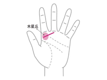 管理能力や経営能力に優れている人が持つ『マネジメント線』とは！？【手相の教科書】