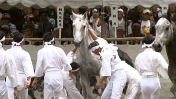 今年から女性の参加条件撤廃…伝統の戦国絵巻「相馬野馬追」閉幕　去年から暑さ対策で5月開催に変更　福島・南相馬市