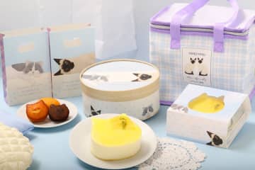 “ねこねこ”からレアチーズムースと爽やかなレモンの味わい広がる『ねこねこレモン レアチーズケーキ』新登場！夏限定デザインの水色×パープルチェックの新作保冷バッグも
