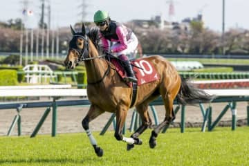 【葵S登録馬】ムイなど22頭