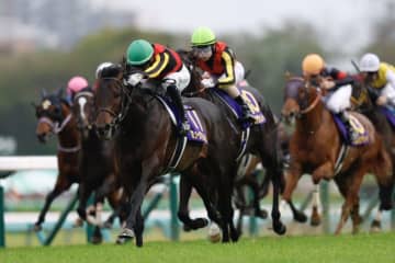【日本ダービー登録馬】皐月賞馬ミュージアムマイルなど20頭