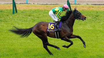 【日本ダービー】36度目で初めて重賞未勝利のまま迎える大舞台　武豊とサトノシャイニングにかかる大偉業