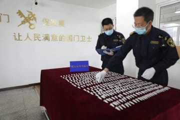 大連税関が毒性持つ生きたクモ504匹を摘発―中国