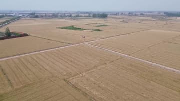 小麦の収穫が本格化、農機約4万台を動員　中国湖北省襄陽市