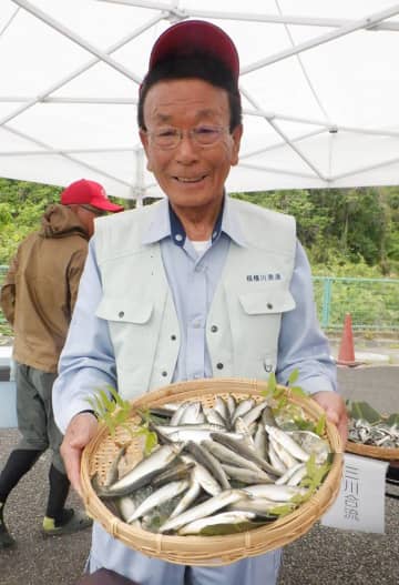 相模川でアユ試し釣り　天然遡上はやや小さめ、中流域では良い釣果も