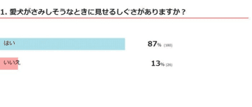 【調査】犬が寂しいときに見せるしぐさとは？獣医師が解説
