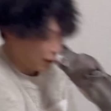 鼻にティッシュを入れたパパ→犬と遊んでいたら『本気モード』になってしまい…次の瞬間に起こった災難に「狩猟対象w」「ウチも同じ」の声