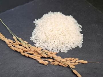 米価高騰の原因は「日本人が米を食べなくなったから」古谷経衡が見解を語る