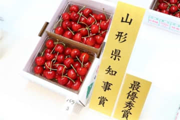 山形県さくらんぼ品評会受賞商品を限定販売！ 特別な逸品「佐藤錦」「紅秀峰」がＪＡタウンに登場