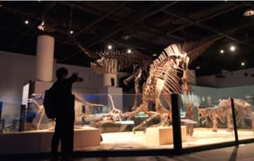 中国恐竜展が上海で開幕、118点の恐竜標本が展示