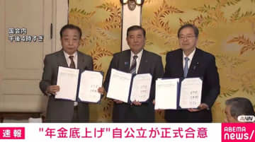 年金改革法案で与野党合意 基礎年金底上げの将来的実施を明記