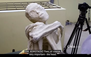 ペルーの「宇宙人のミイラ」で新展開　研究している科学者が「１００％本物」