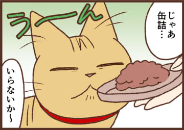 【吉川さん家の猫事情】#95話 食欲が落ちると…