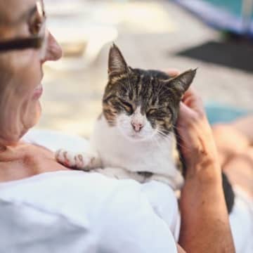 猫が『飼い主さんにべったり依存』してしまう3つの原因　放置すると起こり得るトラブルも