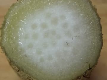 この野菜ご存知ですか？独特の味と良い香りが特徴！焼く、天ぷら、酢味噌和え、きんぴら、サラダ！