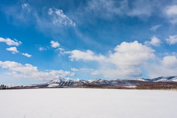 北海道でシマエナガの珍しい一面を撮影　「ギャップに驚く」「躍動感がすごい」との声が続出