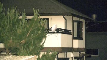 自宅で72歳母親の背中などを包丁で刺し死なす　息子の斎藤聡容疑者（44）を殺人未遂の現行犯で逮捕　栃木・足利市