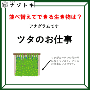 クイズです！ちょっと簡単かも？「言葉を並び替える」と、生き物の名前になるよ！【難易度LV２.・甘口】