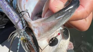 晴天クリアな状況で食わせる方法をオリキンさんが伝授！ハイピッチャーが有効的…？