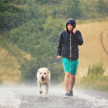 雨が降る日の『犬の散歩』気をつけるべきポイントとは？快適に歩くためのコツから帰宅後のケアの方法まで