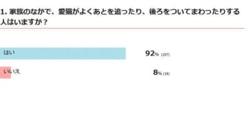 【調査】家族内に愛猫がよくあとを追う人はいる？　獣医師の解説も