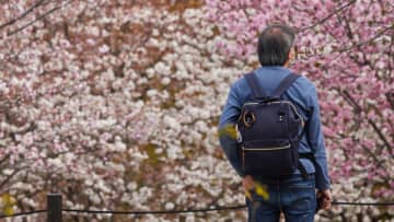 怖かった…新NISAで「170万円」を失った年金月25万円・65歳元サラリーマンの後悔【CFPの助言】