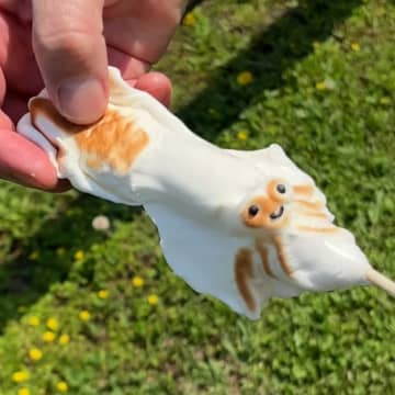 【本物にしか見えん】韓国から来た激カワマシュマロBBQ