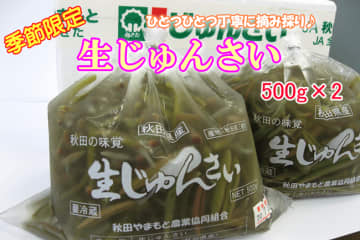 季節限定！ぷるぷる食感の秋田県産「生じゅんさい」を JAタウンのショップ「おらほの逸品館」で販売中！
