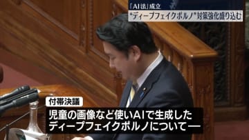 「AI法」成立　児童の画像からAIが作るディープフェイクポルノ対策強化に言及