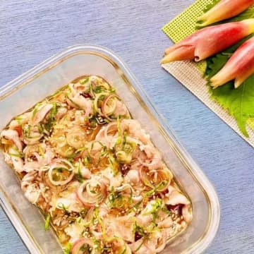 【大葉とみょうがコンビを最強に活かす方法】「これだわ！！」人気おかずレシピ3選