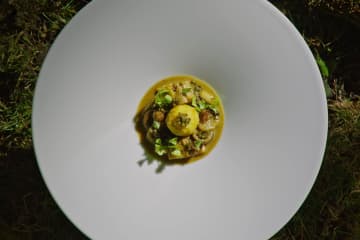 南青山にモダンフレンチ「マージ」一つ星シェフが“名もなき食材”に光を当てる