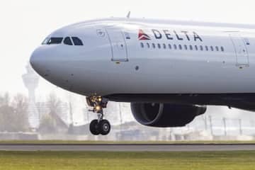 飛行機に鳩が乗り込み機内を飛び回る。機内騒然「こんなことは初めて」（アメリカ）