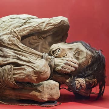 ペルーの「宇宙人ミイラ」は本物！？殺された可能性も浮上