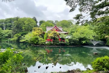 「井の頭公園で日本人に泣かされた」と中国人女性＝ネット「そういう意味か」「理由分かるわ」