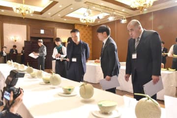 メロン　出来栄え競う　茨城・水戸で品評会　2部門で頂点決定