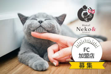 猫専門ペットホテル「ネコト」全国展開へ　フランチャイズ加盟店の募集を開始　テリトリー制＆研修でスムーズに開業が可能　ペットホテル運営未経験でも歓迎