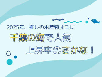 【2025年、推しの水産物はコレ】千葉の海で人気上昇中のさかな！
