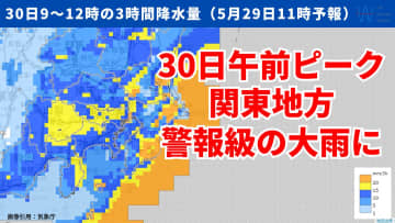 明日30日は関東で警報級の大雨のおそれ！雨や風のピーク時間や気温の推移を気象予報士が解説