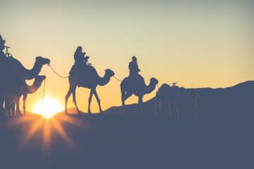 「バフェット信奉」は日本特有の現象だった？ “次の投資の神様“に迷う人とあえて今、出かけたい「答え探しの旅」
