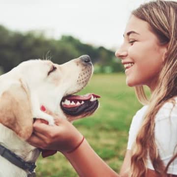 『人好きな犬』の特徴4選　フレンドリーな性格のワンコが喜ぶ接し方までご紹介